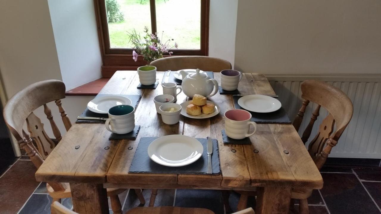 Delabole Coopers Cottage Dog Friendly North Cornwall المظهر الخارجي الصورة